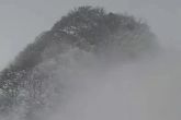 美丽山顶